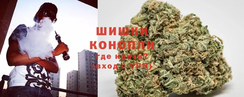 Бошки Шишки SATIVA & INDICA  Шилка 